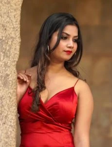 call girl service in Krishna